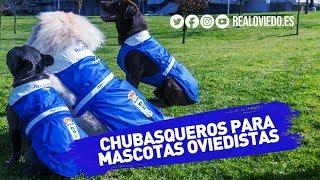 Chubasqueros para mascotas oviedistas