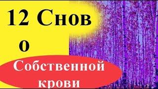 К чему снится своя собственная кровь - 12 снов (много, из руки, ноги, носа, зуба, рта, месячные)