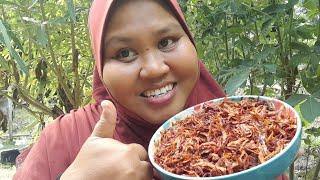 cara masak sambal bilis rangup viral by kak nur@tip tanpa ditumis