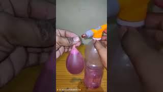 Holi Experiment #holiexperiment #holi #experiment