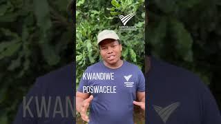 Make the dream a reality with Agricolleges like Kwandiwe #agricultureeducation