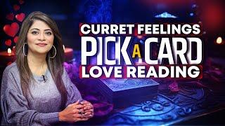 How They Are Currently Feeling About You | Pick A Card | In-Depth Love Reading | Urdu | Unsa Shah