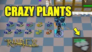 Runex RSPS: *Insane Plants* Chucking 100b+ To Make Bank! +$50 Bond G/A