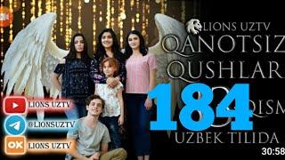 QANOTSIZ QUSHLAR 184 QISM TURK SERIALI UZBEK TILIDA | КАНОТСИЗ КУШЛАР 184 КИСМ УЗБЕК ТИЛИДА