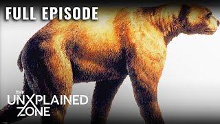 Bear God Responsible for Scary Disappearance (S1, E13) | Missing in Alaska | Full Episode