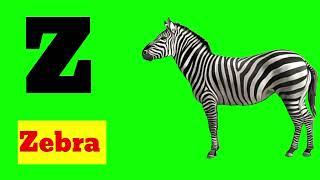 z for zebra green screen video| no copyright free download  only subscribe