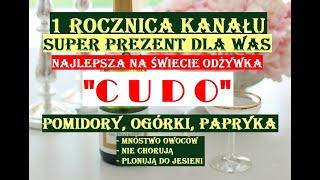 POMIDORY, OGÓRKI, PAPRYKI - NAJLEPSZA ODŻYWKA NA ŚWIECIE! PREZENT Z OKAZJI 1 ROCZNICY KANAŁU!