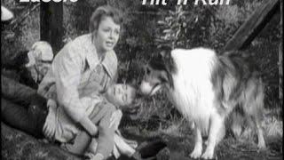 Lassie - Episode #350 - "Hit'n'Run" - Season 10, Ep.27  - 04/19/1964
