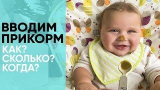 ВВОДИМ ПРИКОРМ. Основные правила прикорма. Чего делать нельзя? Ника Болзан.