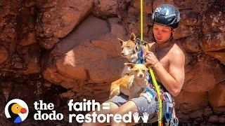 Guy Rappels Into Canyon To Save Abandoned Dogs | The Dodo Faith = Restored