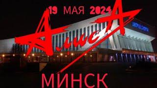 АлисА-Минск,19 мая 2024