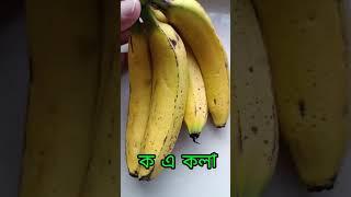 ক এ কলা বাংলা বর্ণমালা শিক্ষা // Bangla alphabet