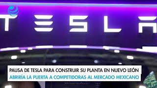 Pausa de Tesla para construir su planta en Nuevo León abriría competencia en el mercado mexicano