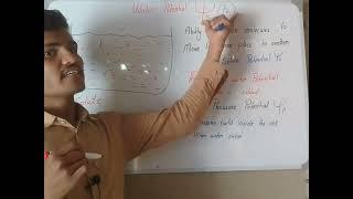 Water potential and solute potential and pressure potential.