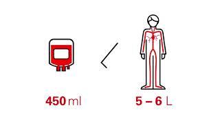 Nach dem Blutspenden – so verhält man sich richtig