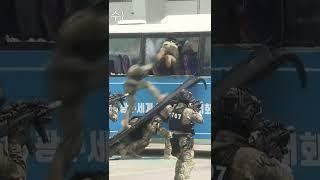 Special Forces In Action 