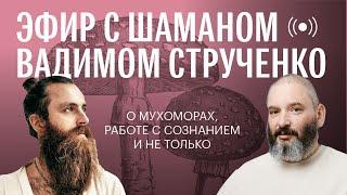 Эфир с Шаманом. Беседа о мухоморах, работе с сознанием и не только | Михаил Вишневский