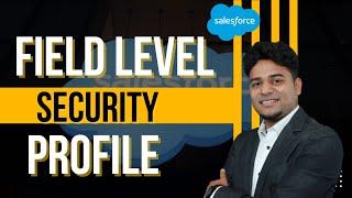 Field Level Security Profile || By Rajesh Chatterjee || Delipat.