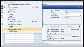 SAP Business One User Defined Values and Fields