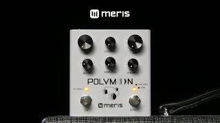 Meris Polymoon Delay Pedal | Gear4music demo