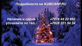 Прикормочные кораблики KUBCARP - Новогодние СКИДКИ!