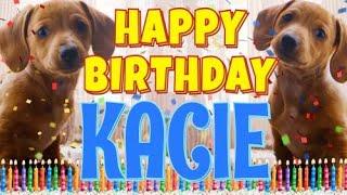 Happy Birthday Kacie! ( Funny Talking Dogs ) What Is Free On My Birthday