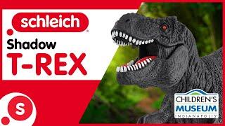 The Schleich Shadow T-Rex