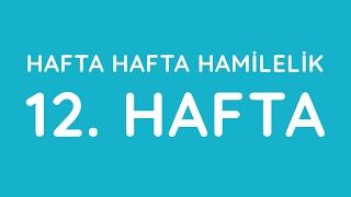 12.Hafta - Hafta Hafta Gebelik - Hamilelik | Anneysen.com