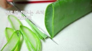 알로에 자르는 소리 ASMR | 한세