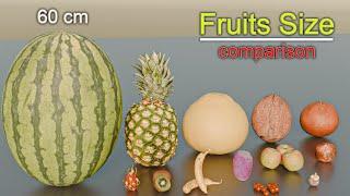 Different Fruits Size Comparison | The Biggest Fruits on the Planet