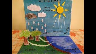 Water Cycle School Project Model | Simple Project | Water Cycle Model using  CardBoard  and paper