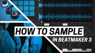 HOW TO SAMPLE IN BEATMAKER 3 | Basics Tutorial