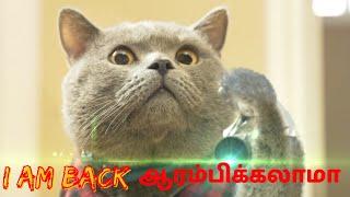 ANIMALS Funny Mind Voice 18 Sothanaigal | Tamil | SIMPLE WORLD