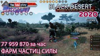 Black Desert Фарм серебра 2020. Частица силы. Фарм частиц силы. Кентавры.