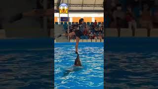 Girl vs Dolphin  Mind blowing art #viralvideo #art  #artist