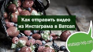 Как отправить видео из Инстаграма в Ватсап