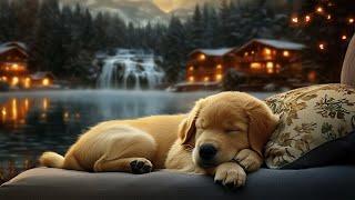 12 Hours Of Deep Sleep Dog Calming Music  Music Helps Reduce Separation Anxiety In Dogs At Home 