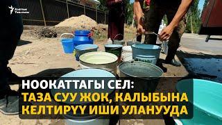 Ноокаттагы сел: Таза суу жок, калыбына келтирүү иши уланууда