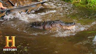 Swamp People: Submarine Gator Hunt (Season 8) | History