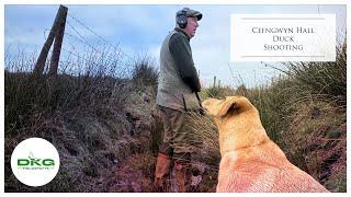 Duck Shooting at Cefngwyn Hall in Wales UK, High Ducks with 36g 1 Steel Cartridges.