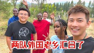 [MULTI SUB] 齐聚山东！两队外国人在山东碰面了！见面就互飙中文，太牛了！【子恒非洲生活】