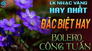 29/10 LK Nhạc Vàng Xưa TOÀN BÀI HAY BẤT HỦ Gây Ghiền 2024 | BOLERO CÔNG TUẤN Dễ Nghe Ngủ Say