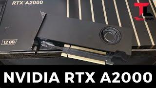 Nvidia RTX A2000 Professional Graphics Leadtek 12GB GDDR6 CUDA Core 3328| Tech Land