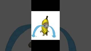 banana cat crying