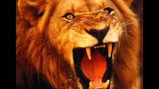 Lion Roar Sound Effect