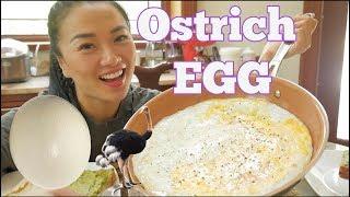 GIANT Ostrich EGG *Lets Eat | SASVlogs