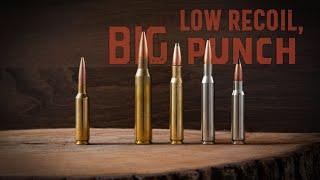 Shootability: Finding the perfect hunting/shooting cartridge (Cartridge Wars 2)