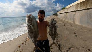 Beach fishing madness... Fall Mullet run 2021