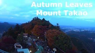 Autumn Leaves and Mount Takao