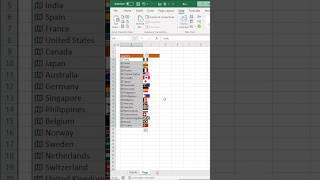 EXCEL me FLAG kaise laye #excel #advexcel #excelshorts #exceltutorial @tallyans #excelformulas